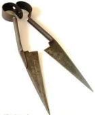 A pair of sharp shears used for cutting sheep or goats' wool