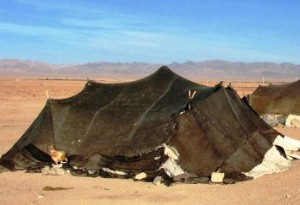 The Tents of nomadic tribal herdsmen
