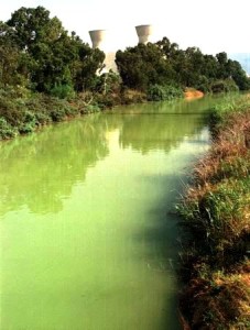 The modern-day Wadi Kishon, the river in which the priests of Baal were drowned