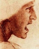 Head of a Warrior, Da Vinci