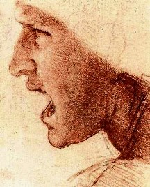 Head of a warrior, Da Vinci drawing