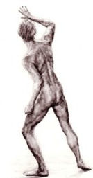 Drawing, Neil Harvey, male nude backview