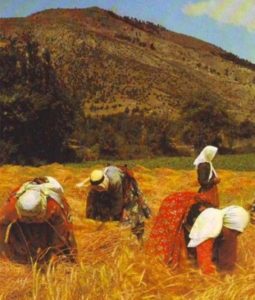 Women gleaning in the fields
