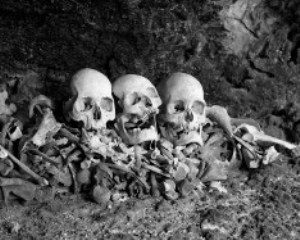A pile of skulls and bones