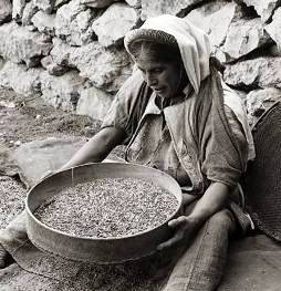 Middle Eastern woman sifting grain