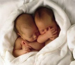 Twin babies sleeping