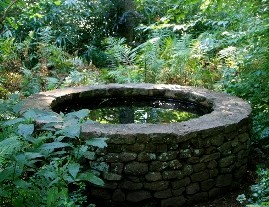 Stone well with still water reflecting greenery