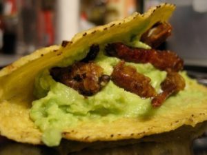 Fried locusts in a Mexican taco