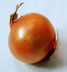 A ripe onion