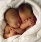 Twin babies, newborn