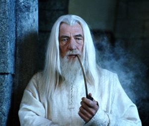 Gandalf from the Harry Potter movies
