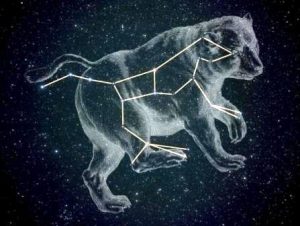 The stars of Ursa Major (the Great Bear)