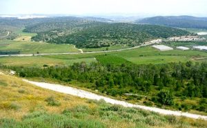 The beautiful Valley of Elah, where David looked down at the enemy